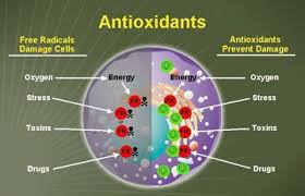 Antioxidants- what are they?