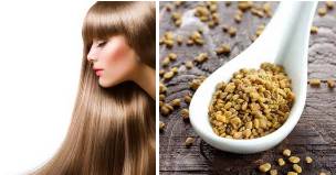 Fenugreek for hair growth and breast enhancement