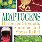 Adaptogens for Adrenal Glands and Stress