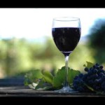 How I Made Wine From Fresh Grapes I Grew at Home